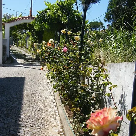 Penzion Casa De Surf Sintra