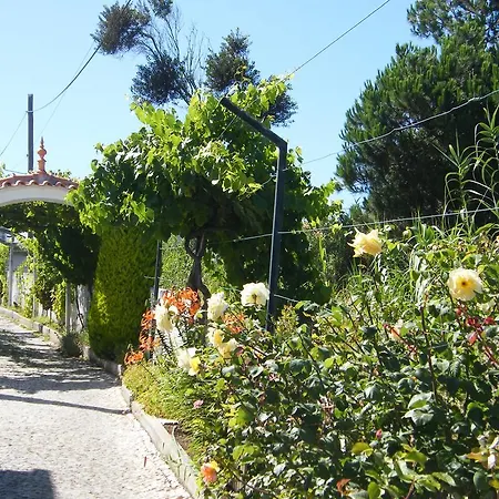 Casa De Surf Penzion Sintra
