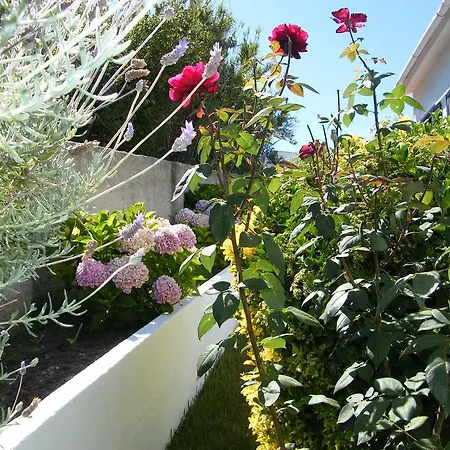 Guest house Casa De Surf