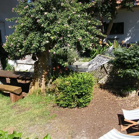 Casa De Surf Penzion